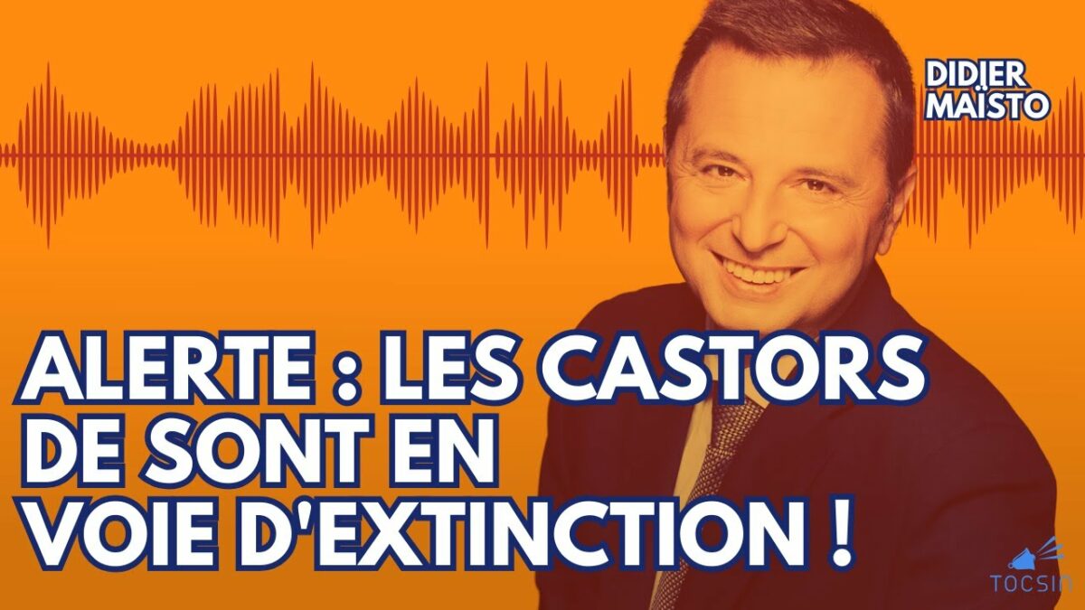 Raz-de-marée RN : les barrages vont sauter ! –  Didier Maïsto