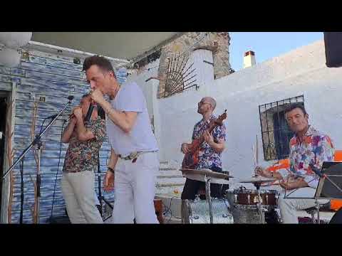 EXCLUSIF : Greg Zlap en live pour Tocsin !