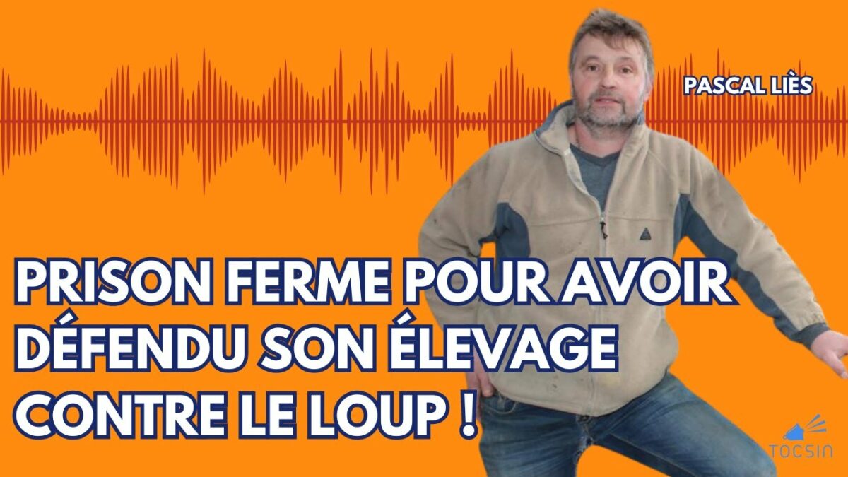 « Si nos anciens exterminaient le loup, c’est qu’il y avait une raison ! »