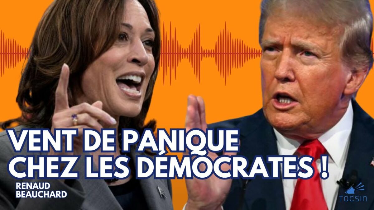 Le plan de l’État profond pour empêcher Trump de gagner… –  Maître Renaud Beauchard