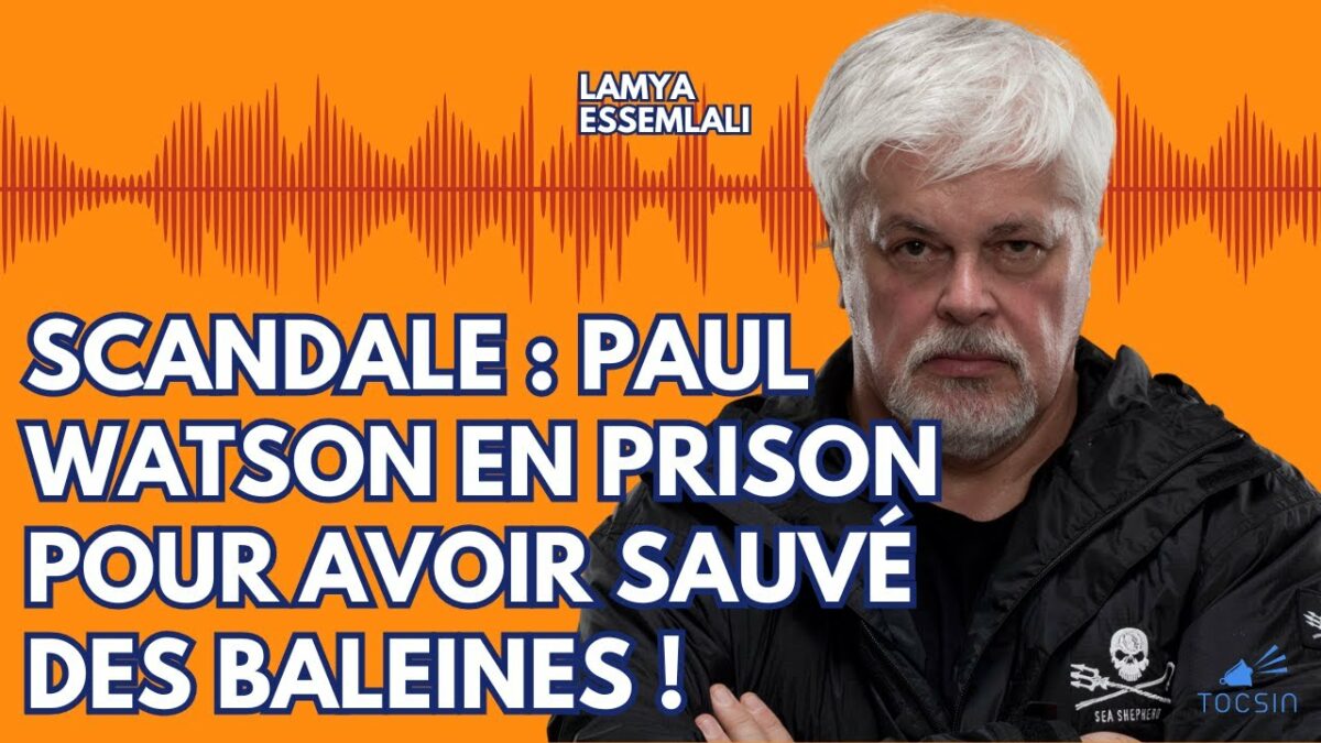 On leur reproche d’avoir envoyé une boule puante aux braconniers ! – Lamya Essemlali